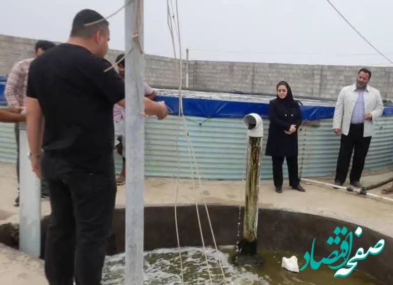 نقش شیلات جزیره قشم در مدیریت بحران باهدف تامین امنیت غذایی کشور