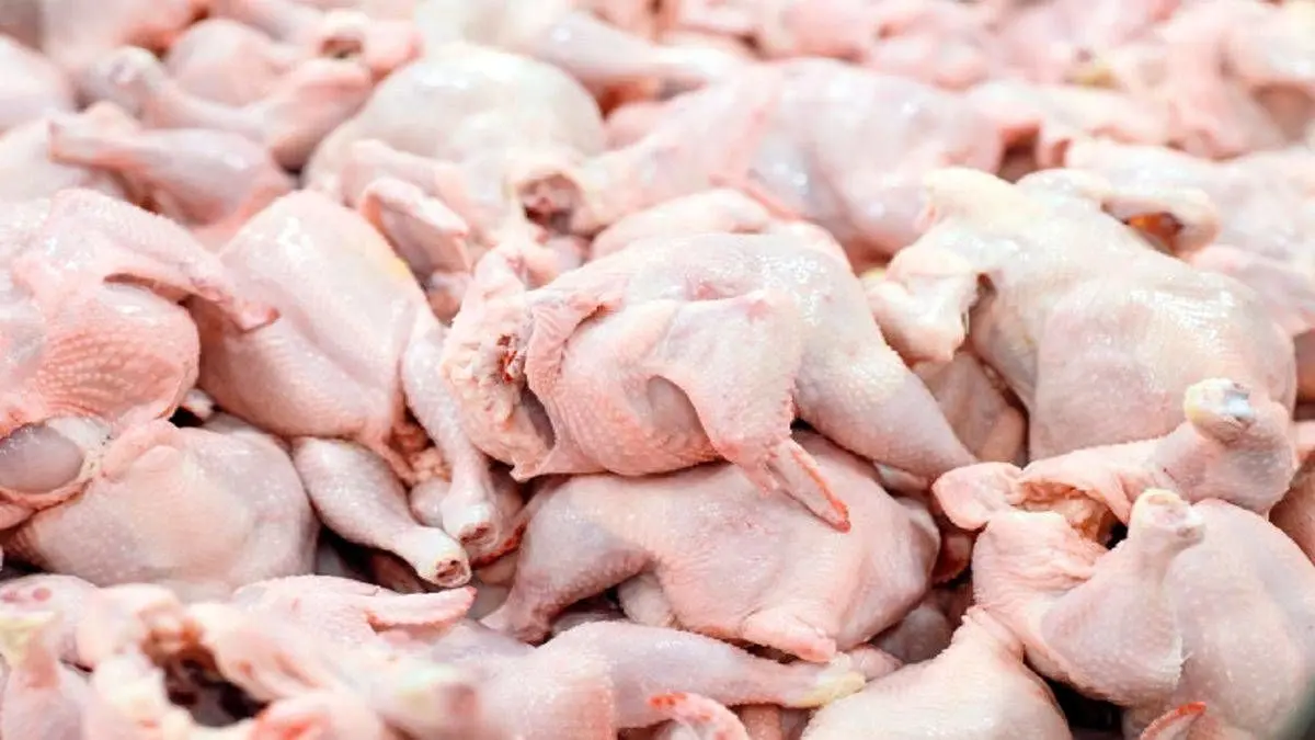 اعلام قیمت گوشت مرغ امروز  ۲۳ آبان / قیمت سینه 
، ران و فیله بدون استخوان چقدر است ؟ + جدول 