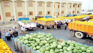 صادرات کشاورزی قربانی تصمیم‌های لحظه‌ای وزارت جهاد