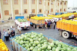 صادرات کشاورزی قربانی تصمیم‌های لحظه‌ای وزارت جهاد