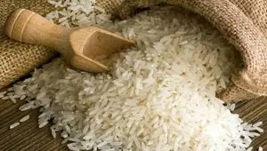 برگشت برنج و روغن خام به فهرست کالاهای مشمول ارز ترجیحی 