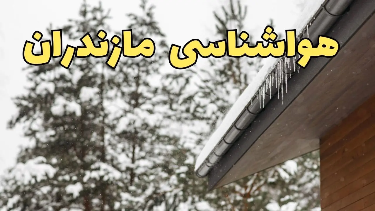 پیش بینی وضعیت آب و هوا مازندران فردا ۲۸ بهمن ماه ۱۴۰۳ | پیش بینی هواشناسی مازندران فردا یکشنبه ۲۸ بهمن