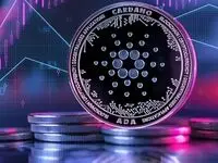آخرین قیمت کاردانو امروز جمعه ۲۶ اردیبهشت ماه ۱۴۰۴