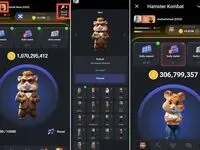 دو بخش جدید همستر کمبات skin و knock چه کاربردی دارند؟