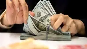 فرزین: نرخ ترس در بازار ارز را جدی نگیرید!