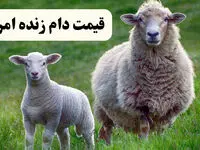 ارزان‌ترین و گران ترین دام در کدام استان است؟/آخرین قیمت دام زنده امروز پنجشنبه ۱۶ اسفند ۱۴۰۳
