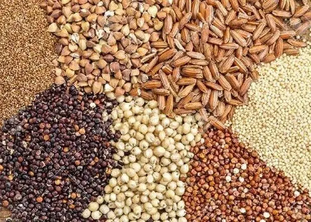 آخرین قیمت نهاده های دامی و کشاورزی ۱۴ اردیبهشت ۱۴۰۵ اعلام شد + جدول