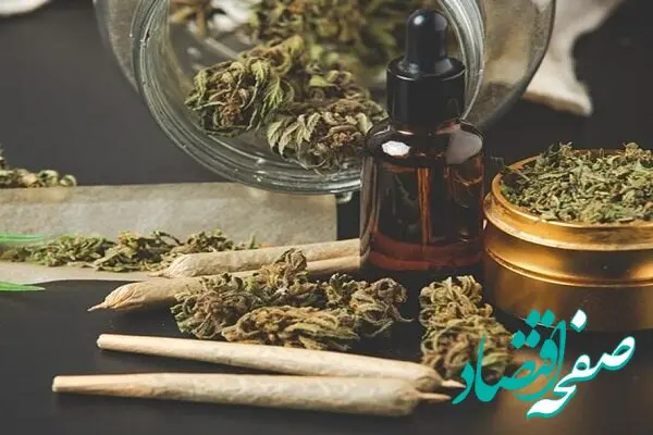 دستگیری باند خانوادگی قاچاق مواد مخدر با ۴۰ کیلو گل!