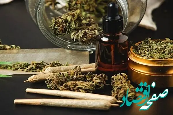 دستگیری باند خانوادگی قاچاق مواد مخدر با ۴۰ کیلو گل!