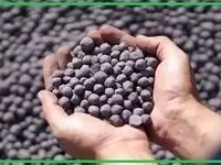 گندله موتور محرک صنعت فولاد / نقش کلیدی گندله در پیشبرد برنامه‌های «گل گهر»