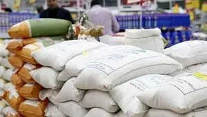 برگشت‌پذیری فصل برداشت؛ شالیکاران خواستار توقف فوری واردات برنج شدند