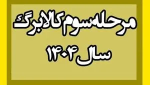 تکلیف کالابرگ الکترونیکی مرحله سوم مشخص شد| تغییر یکباره کالابرگ‌ ۳۵۰ و ۵۰۰ هزار تومانی در خرداد ۱۴۰۴
