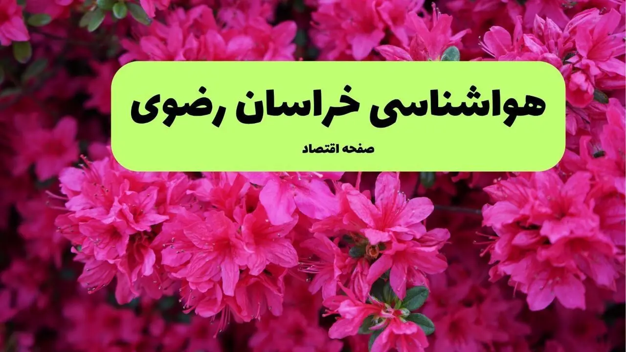 هواشناسی مشهد فردا | پیش بینی وضعیت آب و هوا مشهد فردا جمعه ۲۳ خرداد ماه ۱۴۰۴