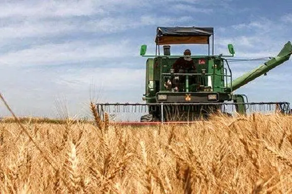 آخرین خبر از پرداخت مطالبات گندمکاران امروز شنبه ۶ تیر ۱۴۰۵ 