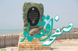 برنامه‌ ویژه سازمان منطقه آزاد کیش برای سایت لاک‌پشت‌ها