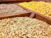 وزارت جهاد کشاورزی پاسخ بدهد؛ سرنوشت ۳.۵ میلیون تن نهاده و ارز آن چه شد؟
