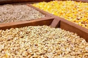 وزارت جهاد کشاورزی پاسخ بدهد؛ سرنوشت ۳.۵ میلیون تن نهاده و ارز آن چه شد؟