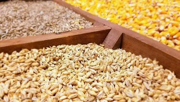 وزارت جهاد کشاورزی پاسخ بدهد؛ سرنوشت ۳.۵ میلیون تن نهاده و ارز آن چه شد؟