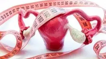 همه چیز درباره علت‌های بزرگ شدن رحم در زنان