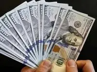 جدول جدید قیمت دلار و یورو امروز یکشنبه ۱۴ بهمن ۱۴۰۳ + قیمت افغانی و قیمت دلار کانادا