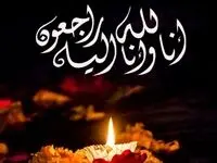 مدیرعامل فولاد خوزستان در پیامی درگذشت والده ی فرمانده سپاه حضرت ولی عصر (عج) استان خوزستان را، تسلیت گفت
