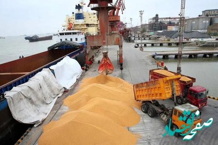 تازه ترین اخبار گندم امروز سه شنبه ۱۰ تیر ماه ۱۴۰۴ / از خرید تضمینی گندم چه خبر؟ 