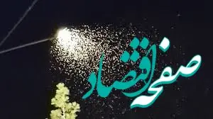 هجوم حشره سنک در مشهد؛ ماجرا چیست؟