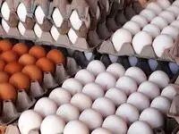 کاهش قیمت برنج و تخم‌مرغ در بازار؛ کمبود واقعی یا مشکل عرضه؟
