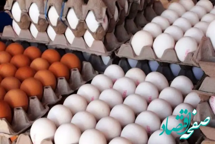 کاهش قیمت برنج و تخم‌مرغ در بازار؛ کمبود واقعی یا مشکل عرضه؟
