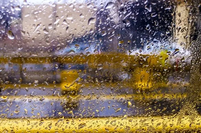 هواشناسی مازندران ۲۴ ساعت آینده | پیش بینی وضعیت آب و هوا مازندران فردا سه شنبه ۶ آذر ماه ۱۴۰۳