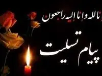 پیام تسلیت مدیرعامل سازمان منطقه آزاد اروند در پی حمله تروریستی به یکی از مقرهای انتظامی شهرستان راسک در استان سیستان و بلوچستان