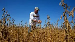 ترامپ و چین شدیدا درگیر شدند