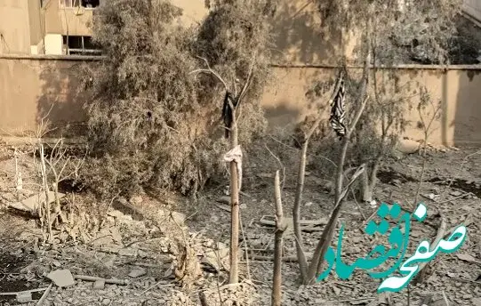 آخرین پیامک ملیکا، ۲۷ ساله از زیر آوار چه بود؟ 