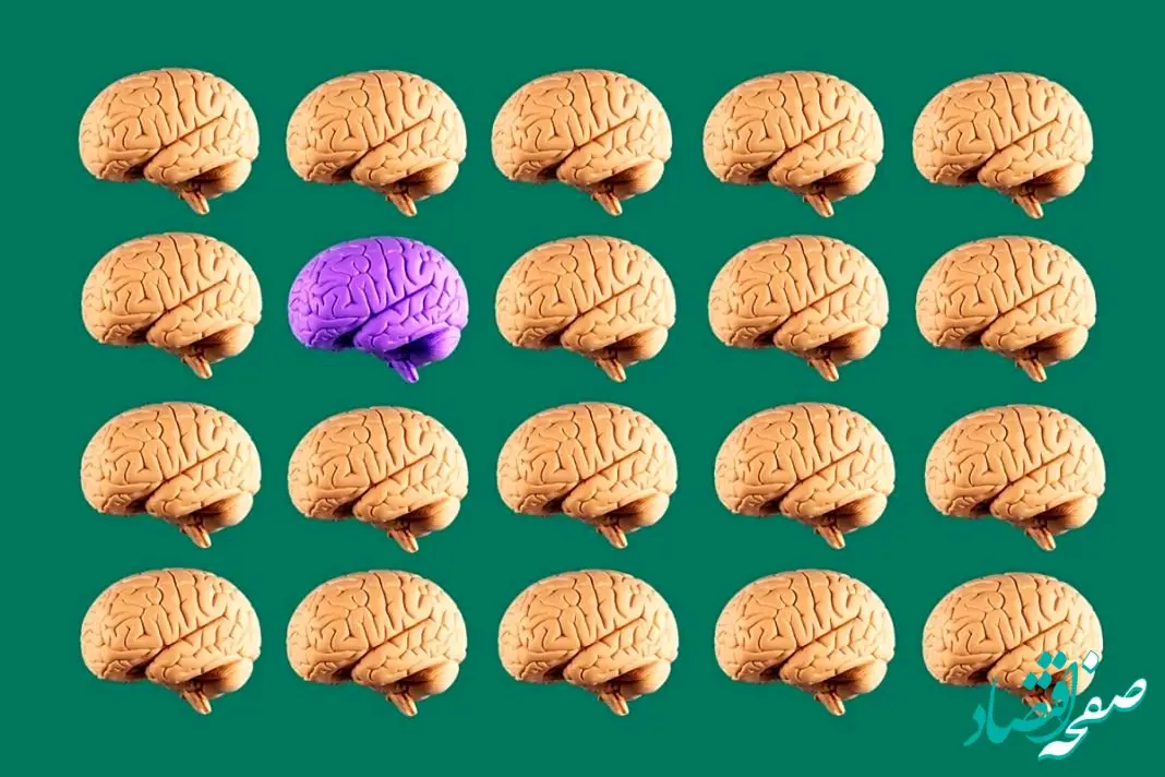 اختراع عجیب هوش مصنوعی گوگل: شبیه‌سازی بخش ناشناخته مغز!