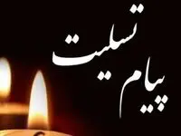 پیام تسلیت مدیرعامل بیمه دی به مناسبت درگذشت حاج همت هادی زاده؛ دبیر انجمن شمالی‌های مقیم تهران