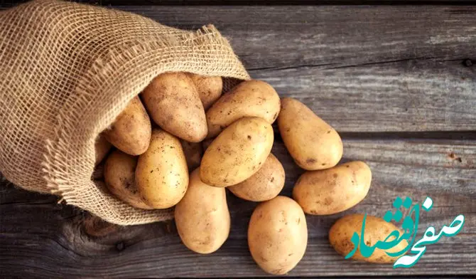 بالاخره سیب‌زمینی تنظیم بازاری رسید/ قیمت در میادین ۲۸ هزار تومان