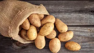 قیمت سیب زمینی بالاتر از این نرخ گرانفروشی است