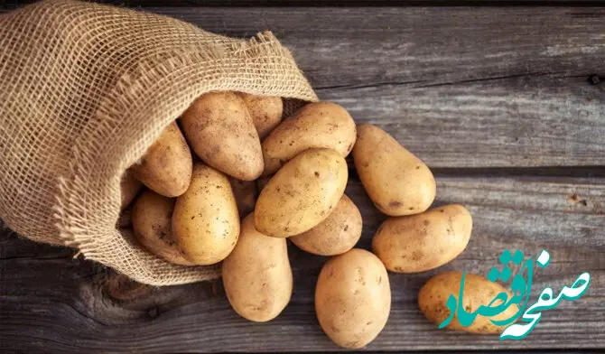 بالاخره سیب‌زمینی تنظیم بازاری رسید/ قیمت در میادین ۲۸ هزار تومان