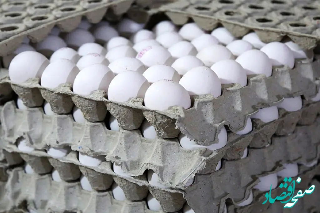 قیمت تخم‌ مرغ امروز دوشنبه ۲۸ خرداد ۱۴۰۳ 