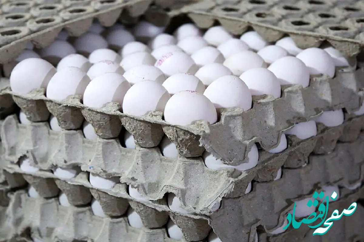 قیمت تخم مرغ امروز دوشنبه ۲۸ خرداد ۱۴۰۳