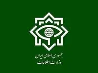 شناسایی و بازداشت ۱۴ مزدور دشمن آمریکایی - اسرائیلی در کرمانشاه، البرز، کرمان و فارس