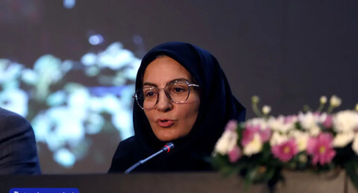 انتقاد مدیر دفتر و برنامهریزی بودجه ایمیدرو از قطعی گاز نیروگاه فولاد مبارکه / چالشها با نگاه ملی دیده شود