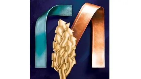 جهش 9 پله‌ای بانک سامان در میان صد شرکت برتر ایران