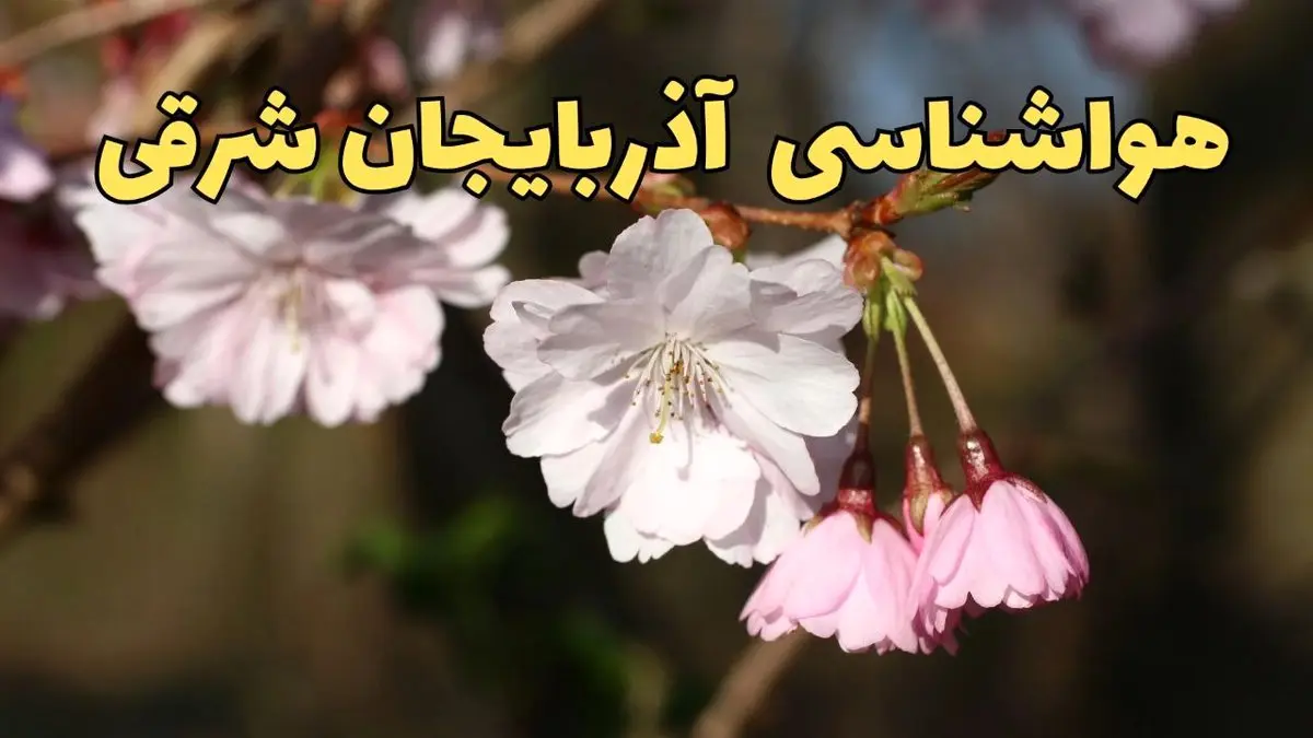 پیش بینی هواشناسی تبریز ۲۴ ساعت آینده | وضعیت آب و هوا آذربایجان شرقی فردا سه شنبه ۱۲ فروردین ماه ۱۴۰۴ | آب و هوای تبریز در روز ۱۳ بدر + هواشناسی آذربایجان شرقی