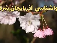 هواشناسی آذربایجان‌ شرقی ۲۴ ساعت آینده اعلام شد | پیش بینی وضعیت آب و هوا آذربایجان‌ شرقی فردا سه شنبه ۱۳ خرداد ماه ۱۴۰۴ | بارش تگرگ از فردا
