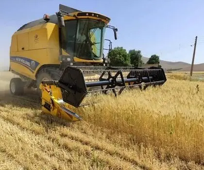 پادکست | مطالبات گندمکاران چه زمانی تسویه می‌شود؟