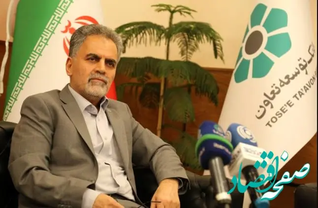 رئیس هیات‌مدیره بانک توسعه تعاون: نظام تامین مالی اقتصاد باید متنوع شود