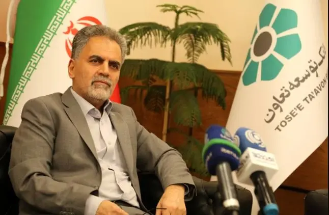 رئیس هیاتمدیره بانک توسعه تعاون: نظام تامین مالی اقتصاد باید متنوع شود