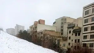 بازار مسکن در تعقیب دلار؛ هیجانات سیاسی و ارزی دامن بازار مسکن را گرفته