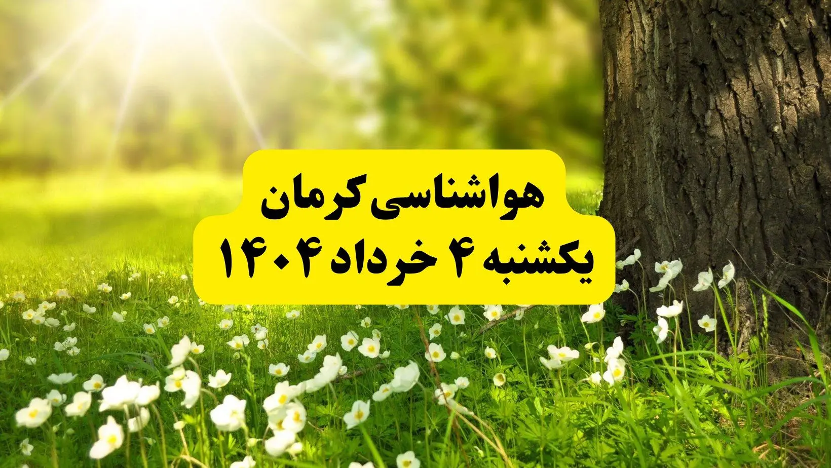هواشناسی کرمان فردا یکشنبه ۴ خرداد ۱۴۰۴ | وضعیت آب و هوای کرمان یکشنبه چهارم خرداد ۱۴۰۴ | آخرین خبر هواشناسی استان کرمان

